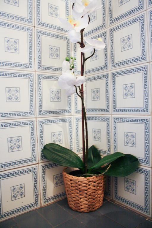 Salotto Vaticano B&B Rome Buitenkant foto